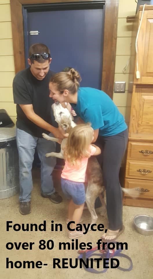 reunited found in Cayce over 80 miles from home