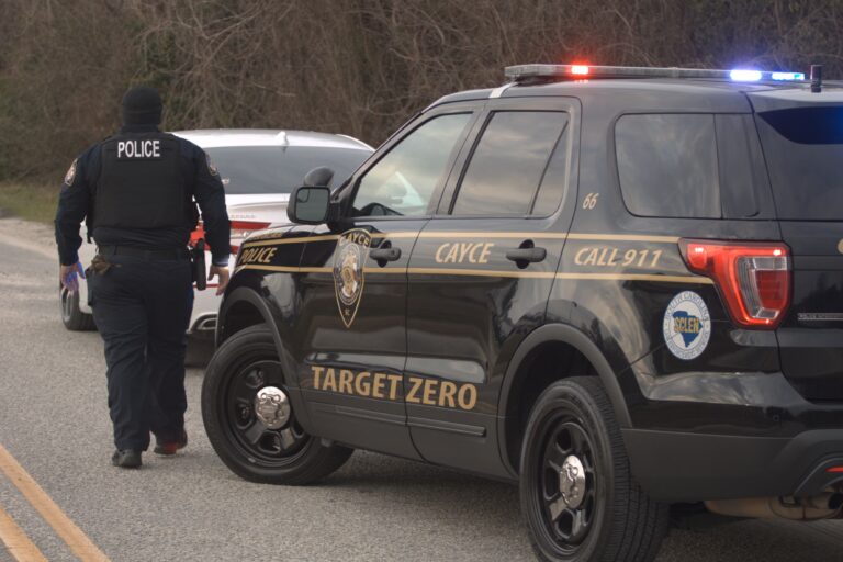 Cayce traffic officer on a traffic stop